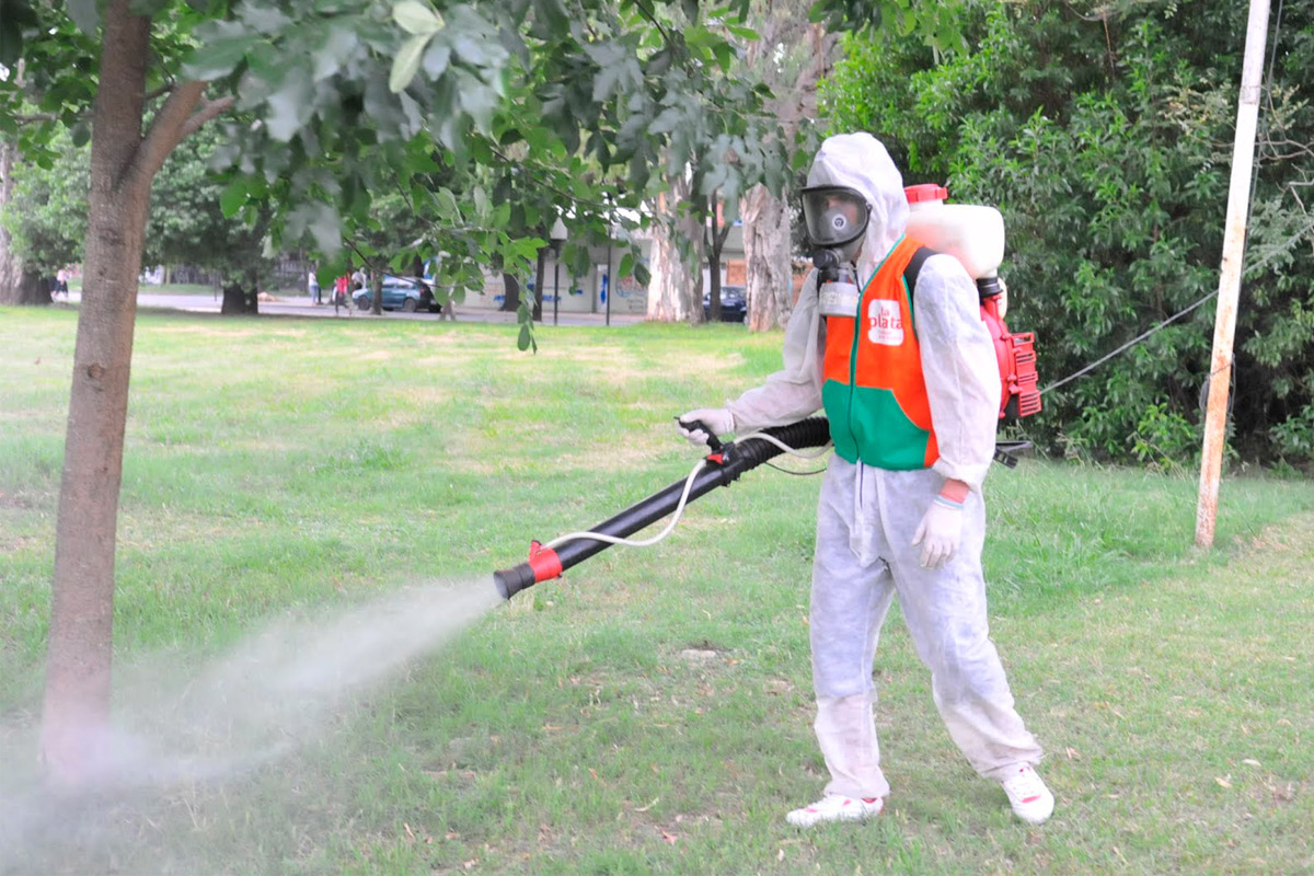 Catedral dramático Acelerar Mosquitos: refuerzan campaña de fumigación en espacios verdes
