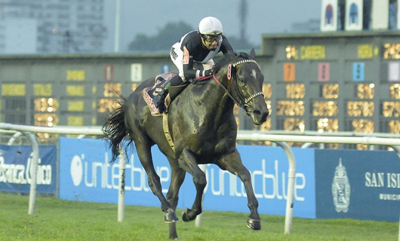 Turf: se corre el Gran premio Carlos Pellegrini en San Isidro