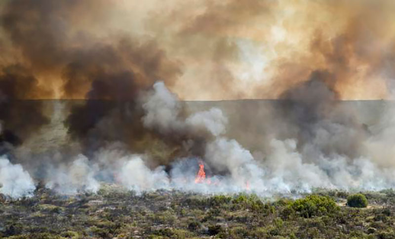 Afirman que está «contenido» el fuego en La Pampa