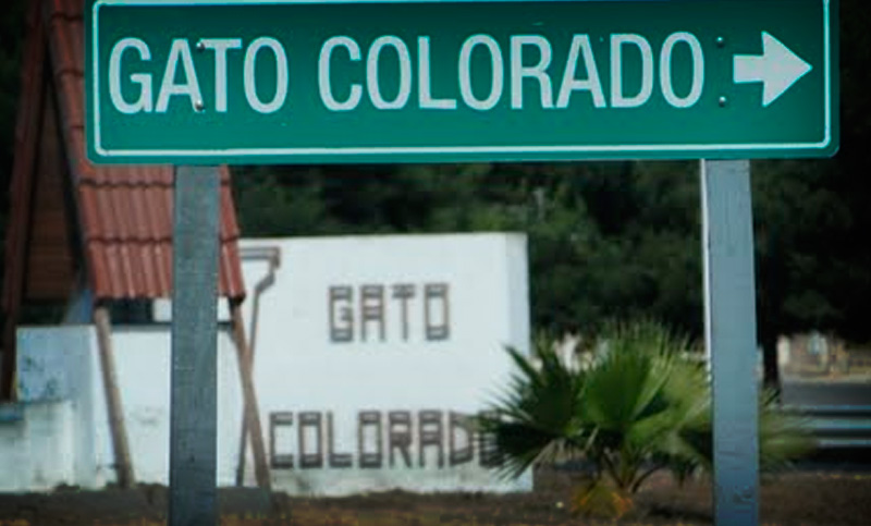 Denuncian que la policía rural desalojó y torturó campesinos en el norte santafesino