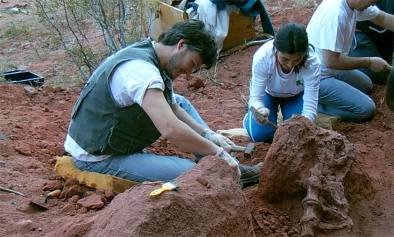 Hallaron un dinosaurio que vivió hace 85 millones de años en Neuquén