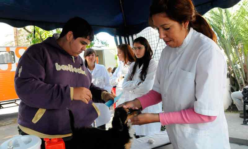 Este domingo se vacunarán y desparasitarán mascotas en Calle Recreativa