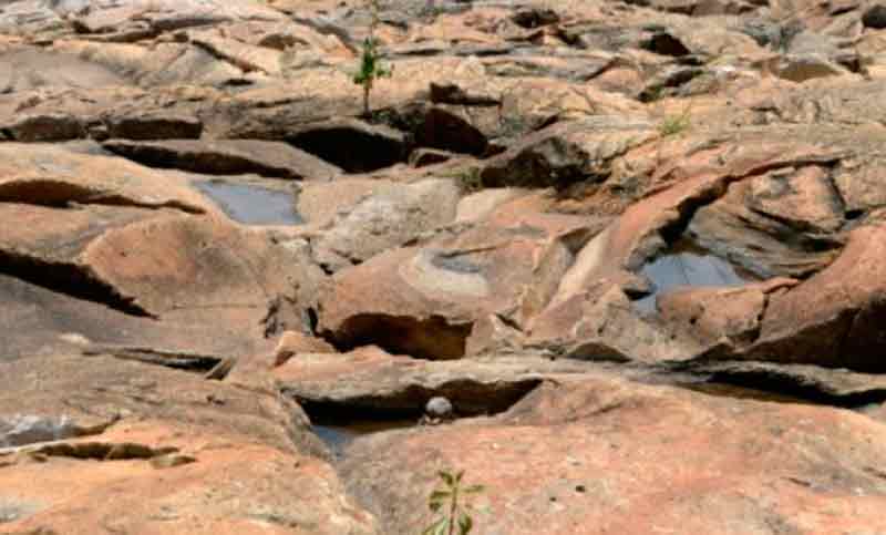 Hay 70% de posibilidades de un fenómeno El Niño antes de fin de año