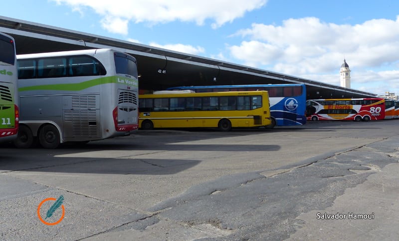 Un conductor encargado de trasladar alumnos de una escuela dio positivo en un control de narcolemia