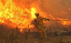 Combaten distintos focos de incendio en las sierras de Córdoba