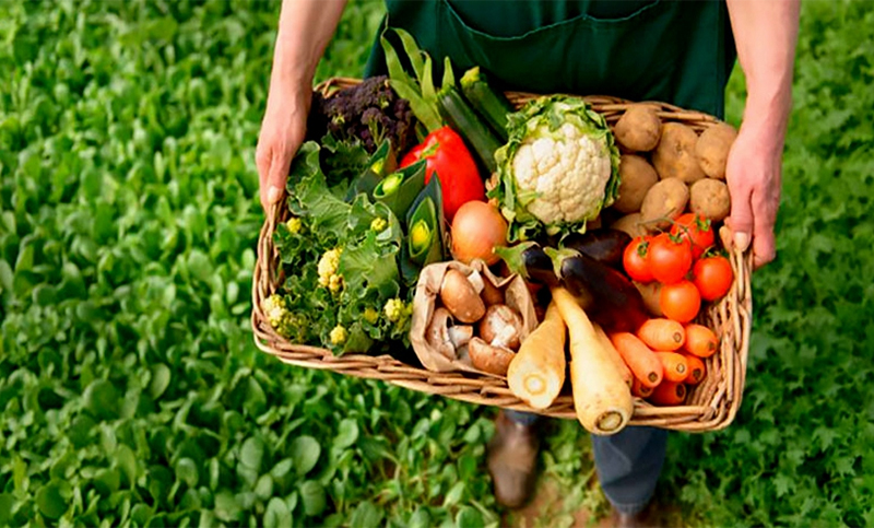 Presentan «Alimentar saberes», un programa nacional de educación nutricional