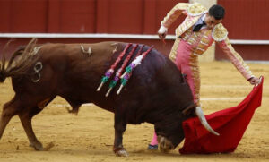 La UNESCO rechaza que la tauromaquia sea declarada Patrimonio de la Humanidad