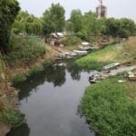 Para poder trabajar, pescadores tuvieron que limpiar el Ludueña de la invasión de camalotes