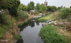 Para poder trabajar, pescadores tuvieron que limpiar el Ludueña de la invasión de camalotes