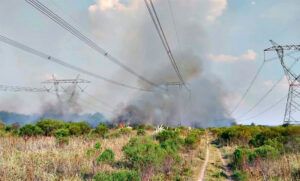 Gran parte del país estuvo sin luz por un incendio: la central nuclear de Atucha quedó fuera de servicio