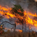 Bomberos voluntarios y brigadistas combaten varios focos de incendio en Córdoba