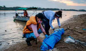 Cientos de delfines aparecen muertos por ola de calor en el Amazonas