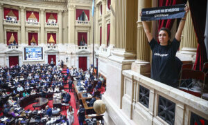 Ambientalistas protestaron durante la sesión de Diputados