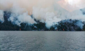 Se realizó un intensivo despliegue de brigadistas y helicópteros para combatir el fuego en Bariloche