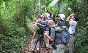 Cada vez más extranjeros eligen Argentina para la observación de aves, y dejan miles de dólares en el país