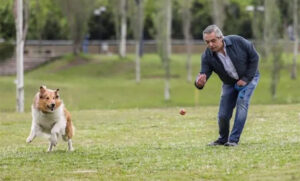 Alberto Fernández le respondió a Milei: «Mi perro no me aconseja y está vivo»