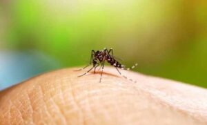 Se confirmaron dos nuevas muertes por dengue en Salta