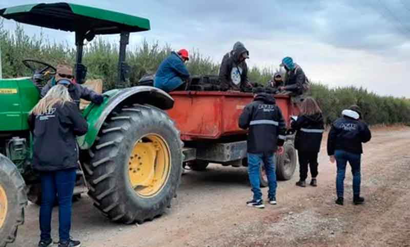 Detectaron en una finca sanjuanina de plantaciones de olivos indicios de trata de personas