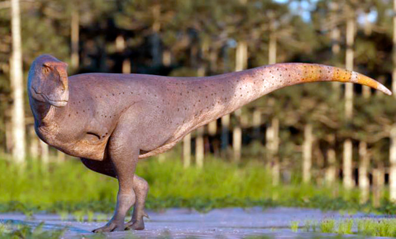 Hallaron en la Patagonia una nueva especie de dinosaurio carnívoro que vivió hace 69 millones años