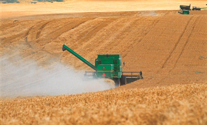 El Gobierno confirmó la desregulación de las exportaciones agropecuarias