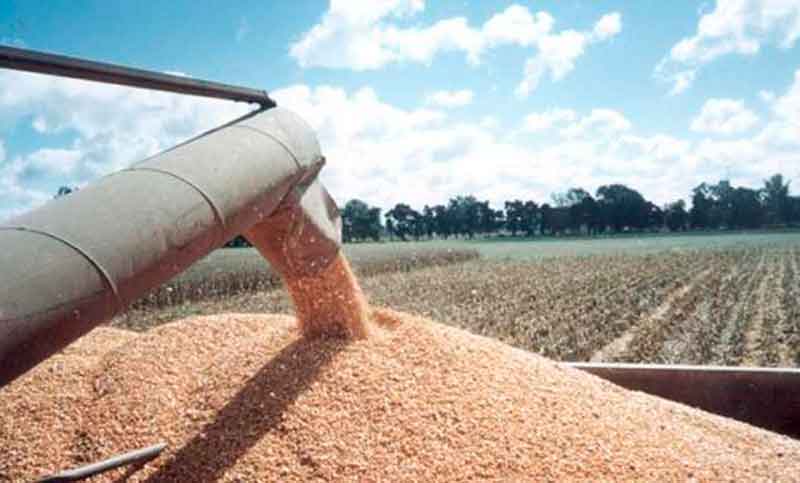 Argentina, el único país líder en rubro agropecuario con caída de exportaciones