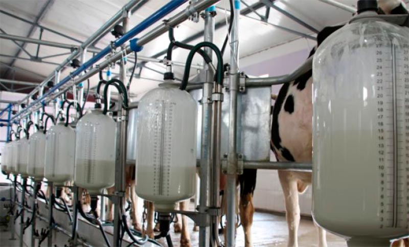 Por la caída en el consumo, la producción de leche retrocedió 14,5% en el primer cuatrimestre del año