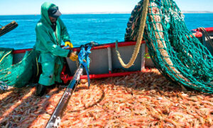 Los pescadores de langostino transitan su séptimo día de reclamo por incumplimiento salarial