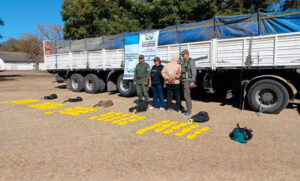 Incautaron 82 kilos de cocaína ocultos en un camión que tenía destino a Rosario