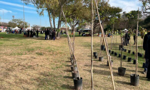 Semana del Árbol: 500 chicos de 25 escuelas plantaron 110 árboles nativos en Parque Yrigoyen