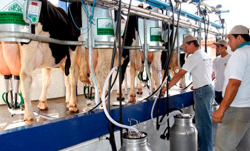 La producción de leche en el primer semestre alcanzó el peor registro en 17 años