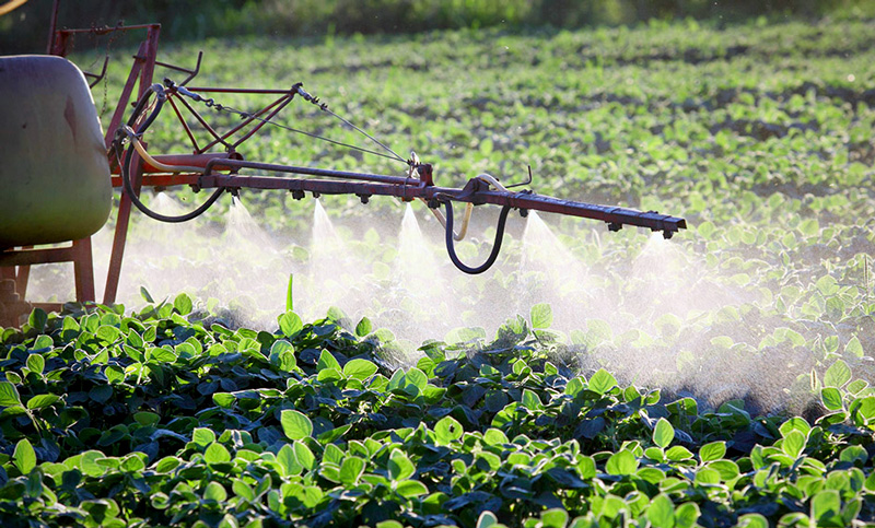 Piden informe sobre las infracciones a la Ley de Agrotóxicos cometidos en estos últimos cinco años en Santa Fe