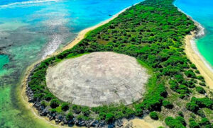 Tiburones mutantes y cocos radioactivos: las secuelas que los ensayos atómicos dejaron en las Islas Marshall