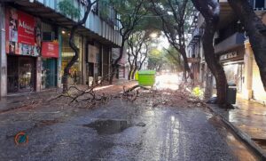 Ramas y cables caídos luego del viento y las intensas lluvias