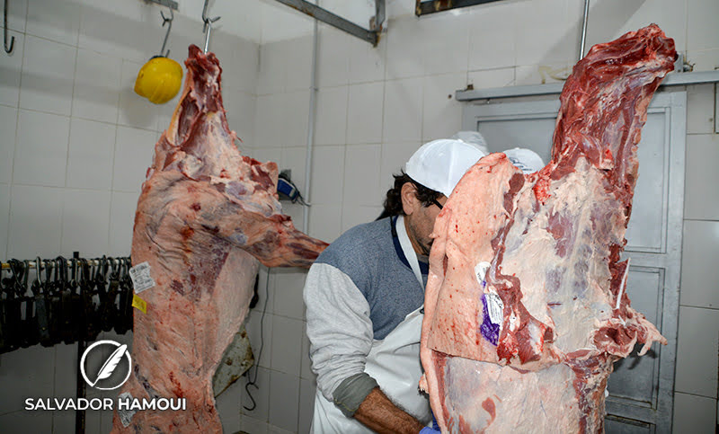 Las exportaciones de carne vacuna crecieron 23% en agosto, luego de la caída de los primeros meses