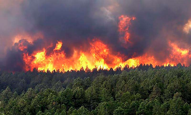 Colombia en alerta: incendios forestales arrasaron miles de hectáreas