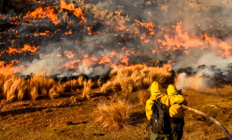 Córdoba, afectada por los incendios: más de 12.000 hectáreas quemadas y el fuego se acerca a las casas