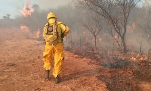 Nuevos incendios forestales en Córdoba: ya se produjeron más de 1.500 en el año y hay 23.500 hectáreas arrasadas