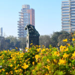 Días de humo sobre Rosario: ¿cómo afecta a la salud y qué precauciones tomar?