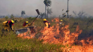 Bomberos de Canadá y España llegarán a Bolivia para reforzar la lucha contra los incendios