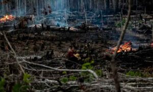 Lula sugirió que los incendios son orquestados por algunos sectores que “intentan crear confusión en el país”