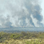 Ambientalistas exigen medidas urgentes y más recursos para frenar los incendios forestales