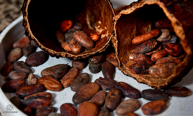 Día Mundial del Chocolate: el rincón rosarino que experimenta con la magia del cacao