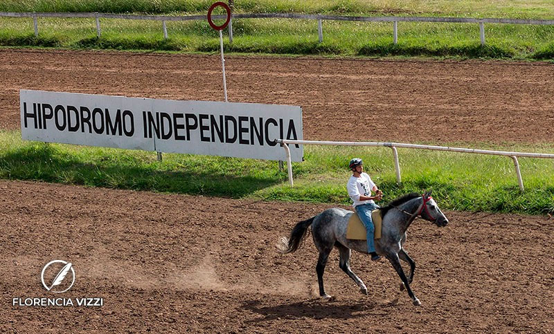 Rosario sin secretos: ¡en la cancha se ven los pingos y también los jockey!