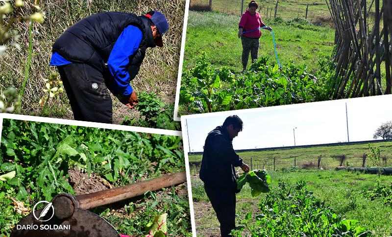 Parque Huerta La Tablada: cuando la tierra pública se pone al servicio de la demanda de alimentos y trabajo