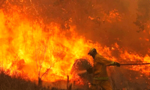 Milei responsabilizó a La Cámpora por los incendios en Córdoba al difundir una fake news y salieron a desmentirlo