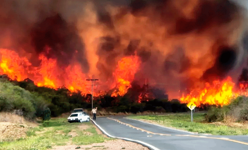 Amnistía internacional intima a Argentina por su inacción en los incendios forestales