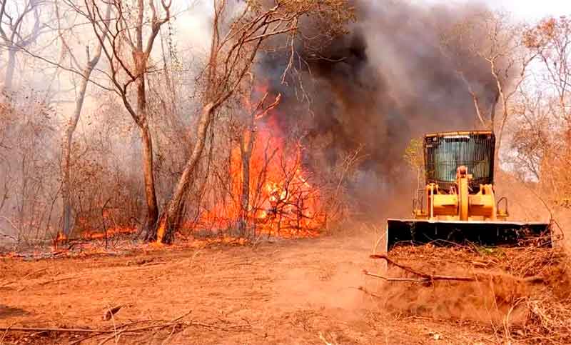 Se reactivaron los incendios forestales en Paraguay y se suman cerca de 190 mil hectáreas afectadas