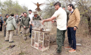 Liberan aves nativas en una reserva natural cordobesa