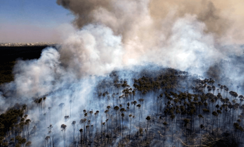 El sur de Brasil registra lluvia negra por incendios forestales luego de sufrir letal catástrofe climática