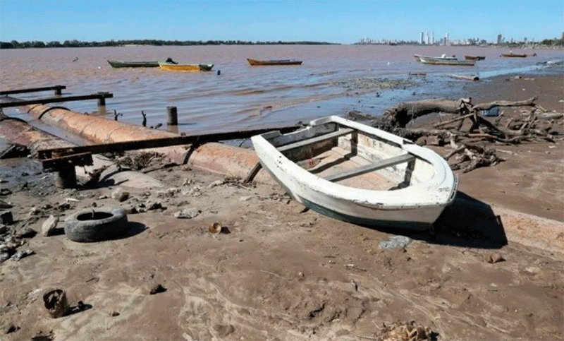 La bajante del Río Paraná se acentúa y empiezan a faltar los surubíes